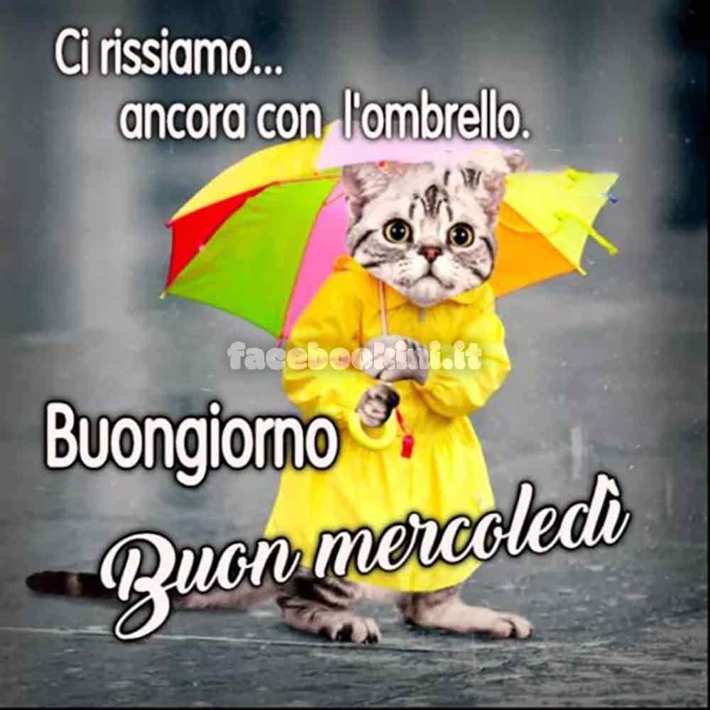 buon-mercoledi-di-pioggia.jpg