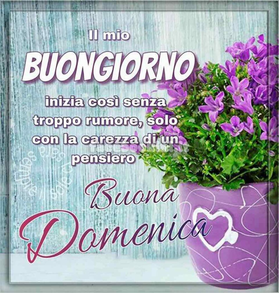 Buongiorno Domenica 3 Marzo 2024 buongiorno buona domenica con frase e fiori - Facebookini.it